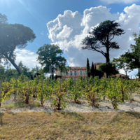 Domaine séminaire, mariages