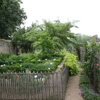 Jardin de plantes médicinales