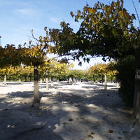 Parking privé