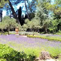 La Baume