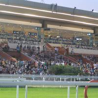 Hippodrome Côte d'Azur Cagnes-sur-Mer