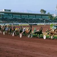 Hippodrome Côte d'Azur Cagnes-sur-Mer