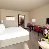 Partial Sea View King/Twin room