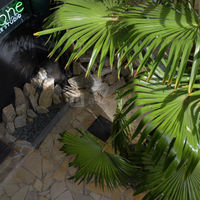 Cyclone le studio - terrasses & jardins