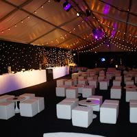 Cirque National Alexis Gruss