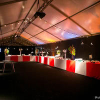 Cirque National Alexis Gruss