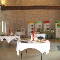 Buffet professionel