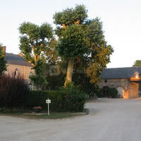 Cour de la ferme