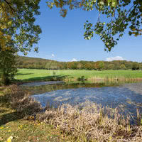 Vue du golf