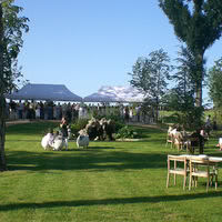Château des broyers parc et vignes