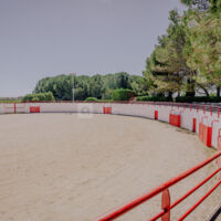 Arènes