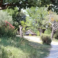 Les allées du domaine