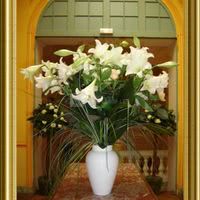 Bbouquet de lys