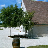 Domaine de la Grange