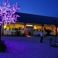 Domaine Mas Dieu