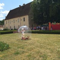 Animations dans le parc