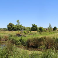Pont sur les canaux du parc
