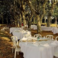 Domaine Pech Laurier