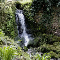 Cascade