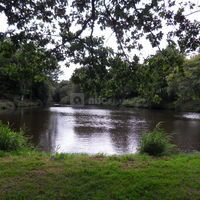 Étang