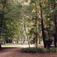 Une allee