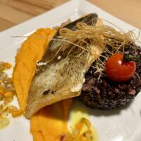 Pavé de Truite Rosée, Risotto Vénéré et Mousseline de Patate Douce