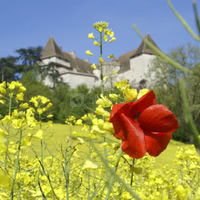 Château de Goudourville en plein été