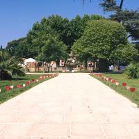 Château Des Anglades
