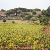 Vue du domaine