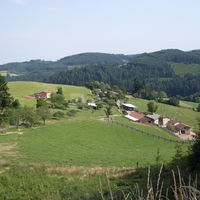 La Ferme des Sapins