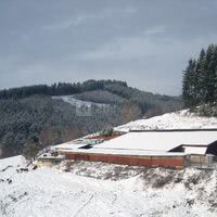 La Ferme des Sapins
