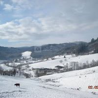 La Ferme des Sapins