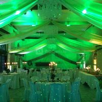 Décoration anis