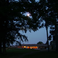 Jardin de nuit