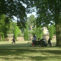 Sous les arbres