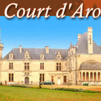 Accueil
