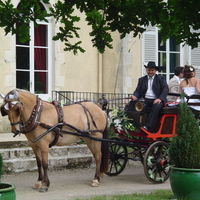 La calèche des mariés