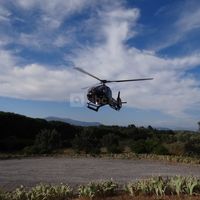 Le Paradis des Oiseaux
