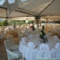 Le Paradis des Oiseaux