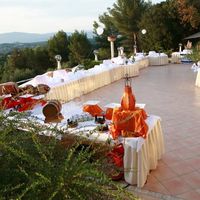 Le Paradis des Oiseaux