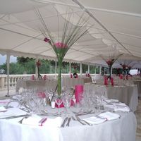 Le Paradis des Oiseaux