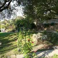 Le Paradis des Oiseaux