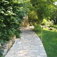 Le Paradis des Oiseaux