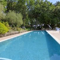 Le Paradis des Oiseaux