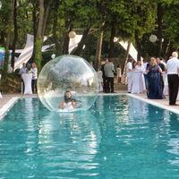 Le Paradis des Oiseaux