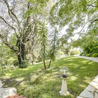 Le Paradis des Oiseaux