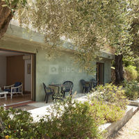 Le Paradis des Oiseaux