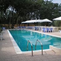 Le Paradis des Oiseaux