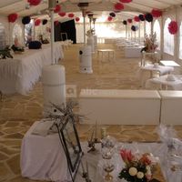 Le Paradis des Oiseaux