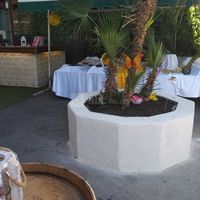 Location Salle Marseille - Mariage – Baptême – Evènementielle – Le Shivas – Abc Salles - Florida Palace – Newport…